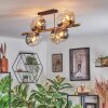Koyoto ceiling light, globe light gold, black, 8-light sources