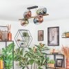 Koyoto ceiling light, globe light gold, black, 8-light sources