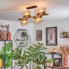 Koyoto ceiling light, globe light gold, black, 8-light sources