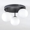 Chehalis ceiling light, globe light white, 3-light sources