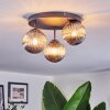 Chehalis ceiling light, globe light Smoke-coloured, 3-light sources
