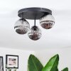 Chehalis ceiling light, globe light Smoke-coloured, 3-light sources