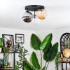 Chehalis ceiling light, globe light Amber, clear, Smoke-coloured, 3-light sources