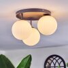 Chehalis ceiling light, globe light white, 3-light sources