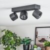 Narel ceiling light, ceiling spotlight LED black, 3-light sources