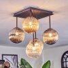 Chehalis ceiling light, globe light Amber, clear, Smoke-coloured, 5-light sources