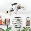 Ripoll ceiling light, globe light Amber, clear, Smoke-coloured, 10-light sources