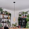 Sydan hanging light, pendant light Ecru, black, 1-light source