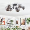 Chehalis ceiling light, globe light 62 cm Smoke-coloured, 6-light sources