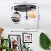 Chehalis ceiling light, globe light 30 cm Amber, clear, Smoke-coloured, 3-light sources