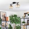 Ripoll ceiling light, globe light Amber, clear, 2-light sources