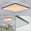 Barullu ceiling light, Panel LED black, white, 1-light source