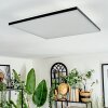 Barullu ceiling light, Panel LED black, white, 1-light source