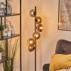 Koyoto globe light, floor lamp 32 cm gold, clear, coppery, Smoke-coloured, 6-light sources