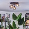 Chehalis ceiling light, globe light 30.5 cm chrome, clear, Smoke-coloured, 3-light sources