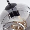Ripoll hanging light, globe light, pendant light clear, Smoke-coloured, 6-light sources