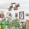 Koyoto ceiling light, globe light gold, black, 8-light sources