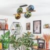 Koyoto ceiling light, globe light gold, black, 8-light sources
