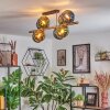 Koyoto ceiling light, globe light gold, black, 8-light sources