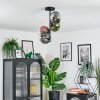 Gastor ceiling light, globe light 32 cm blue, chrome, green, clear, coppery, Smoke-coloured, 4-light sources