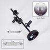 Koyoto ceiling light, globe light 31 cm clear, Smoke-coloured, 4-light sources