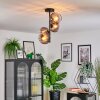 Koyoto ceiling light, globe light 31 cm clear, Smoke-coloured, 4-light sources