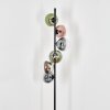 Gastor globe light, floor lamp 34 cm blue, chrome, green, clear, coppery, Smoke-coloured, 6-light sources