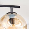 Ripoll ceiling light, globe light Amber, Smoke-coloured, 2-light sources