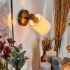 Fallhagen wall light, wall spotlight black, 1-light source