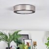 Tavin ceiling light LED matt nickel, 1-light source