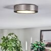 Tavin ceiling light LED matt nickel, 1-light source