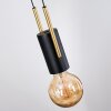 Veria hanging light, pendant light brass, black, 4-light sources