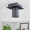 Udena ceiling light LED black, 1-light source