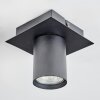 Udena ceiling light LED black, 1-light source