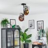 Koyoto ceiling light, globe light 31 cm gold, clear, coppery, Smoke-coloured, 4-light sources