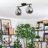 Ripoll ceiling light, globe light Smoke-coloured, 2-light sources