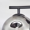 Ripoll ceiling light, globe light Smoke-coloured, 2-light sources