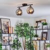 Ripoll ceiling light, globe light Smoke-coloured, 2-light sources