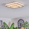 Borin ceiling light LED grey, white, 1-light source