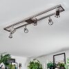 Danil ceiling light, ceiling spotlight LED matt nickel, 6-light sources