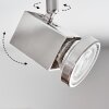 Danil ceiling light, ceiling spotlight LED matt nickel, 6-light sources