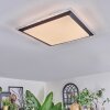 Castasegna ceiling light, Panel LED black, white, 1-light source