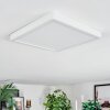 Finsrud ceiling light, Panel LED white, 1-light source