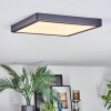 Finsrud ceiling light, Panel LED black, 1-light source