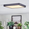 Finsrud ceiling light, Panel LED black, 1-light source