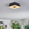 Walon ceiling light LED black, 1-light source