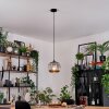 Trion hanging light, pendant light black, 1-light source
