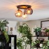 Koyoto ceiling light, globe light 30 cm Amber, clear, Smoke-coloured, 3-light sources