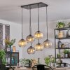 Koyoto hanging light, globe light, pendant light Amber, clear, Smoke-coloured, 6-light sources