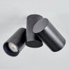 Daril ceiling light, ceiling spotlight black, 2-light sources